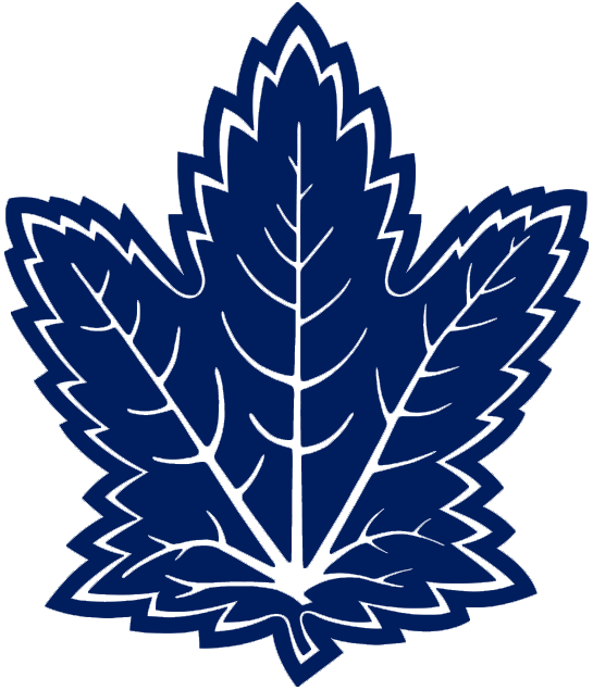 Toronto Maple Leafs 2010-2016 Alternate Logo fabric transfer